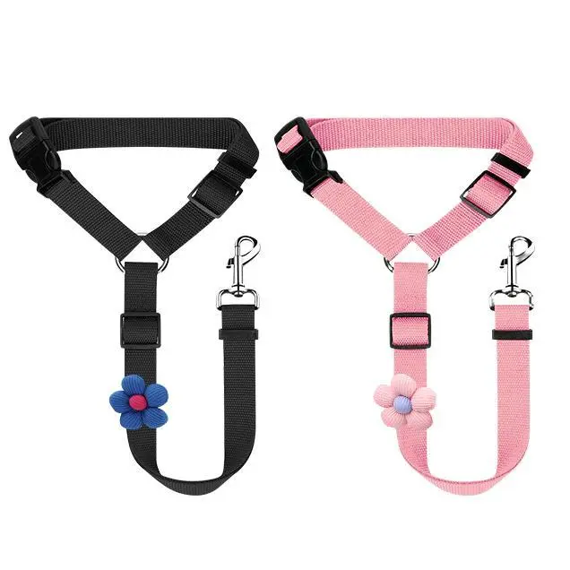 Pink+Black