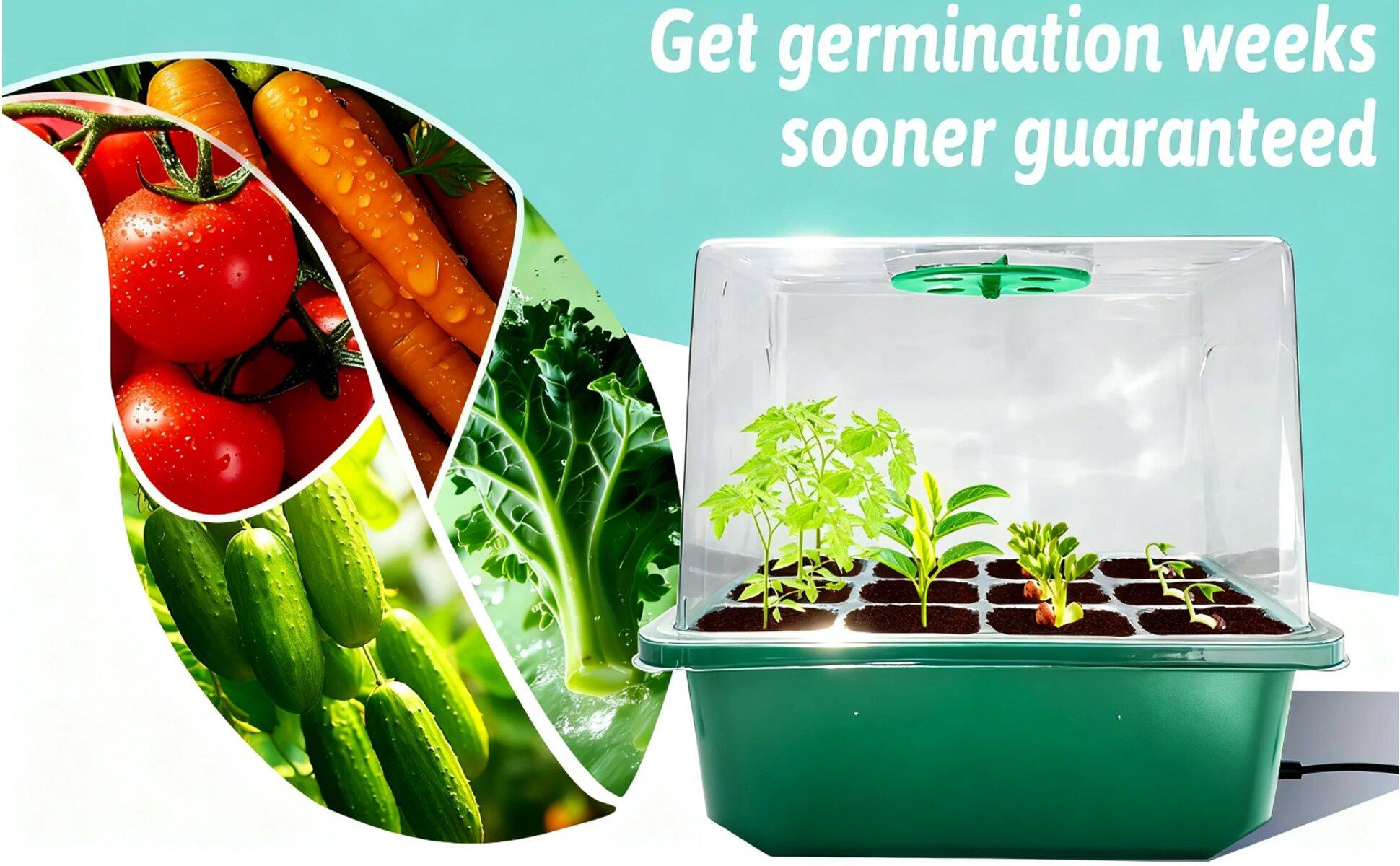 Seed Starter Kit with Integrated Heat, 24-Cell Plant Starter Tray Set, 2-Pack Propagation Trays with Humidity Dome, Mini Greenhouse Germination Kit for Seedlings, Plant Growing Set #GLOBAL PICKS