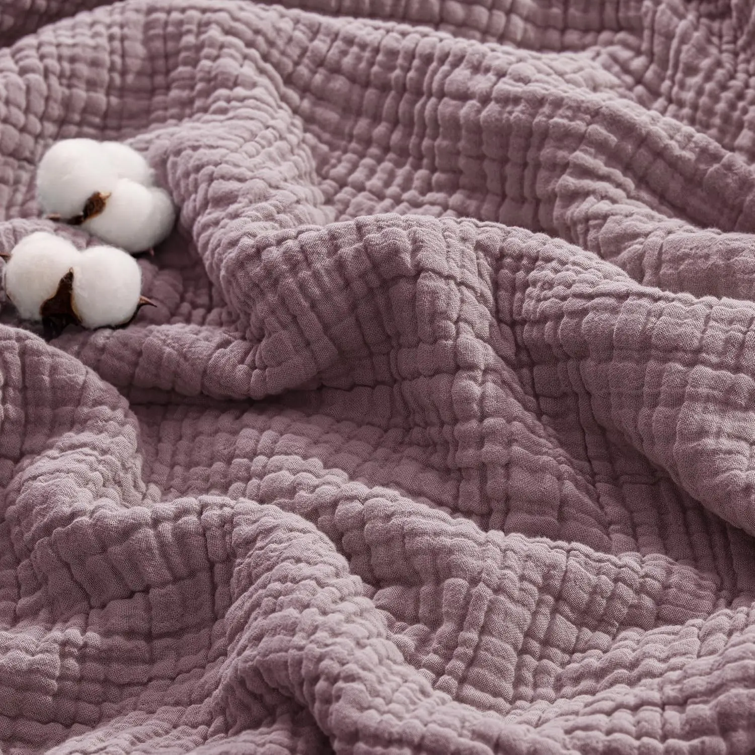 Plum Purple