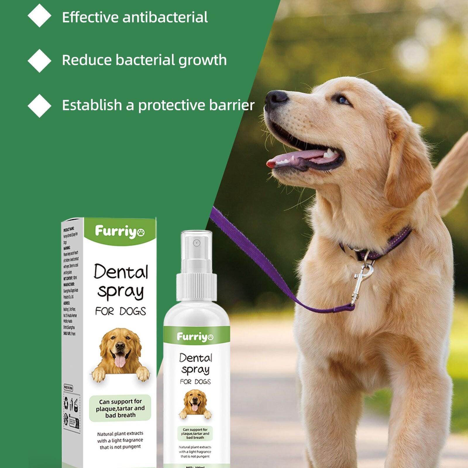 Pet Mint Fresh Breath Spray, Cat Dog Bad Breath Remover, Oral Care Deodorizer, Antibacterial Mouthwash, Pet Grooming Essential