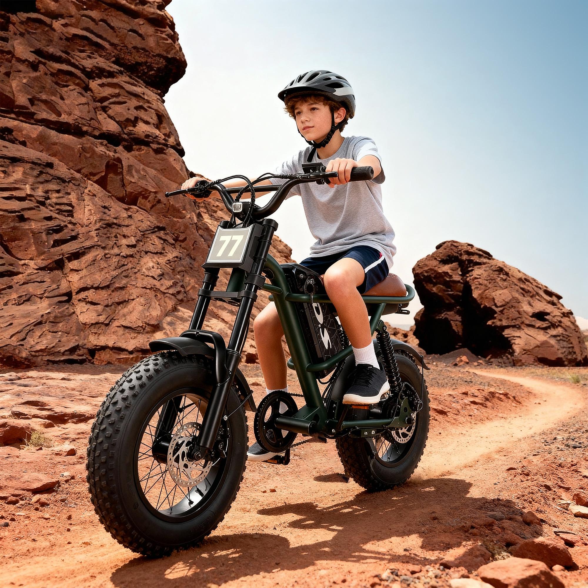Electric Bike,Equipped withHigh Carbon Steel Frame, Full SuspensionSystem,28mph Top Speed,48V 1000W, PedalAssist Range of 30-70 Miles,16-lnch All-TerrainTires,Off-Road Motorcycle. Ebike cool and stylish