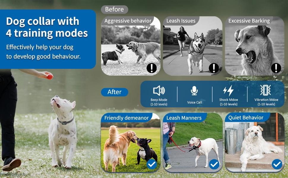 4900 Ft Remote Dog Training Collar, Ip67 Waterproof Rechargeable, 4 Training Modes, Remote Voice Call, Fits All Sizes (10-120 Lbs)