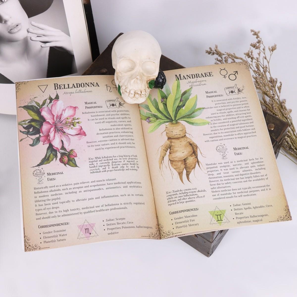 Gothic Skull and Plant Art Planner, Dark Romantic Floral Illustration Journal, Creative Notebook and Stationery Collection
