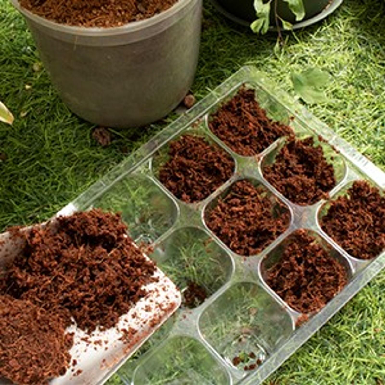 6-Pack Premium Organic Coco Coir Bricks - 100% Natural Coconut Husk Fiber, Planting & Gardening Potting Soil Substrate, Outdoor Garden Decor, Brick Pack