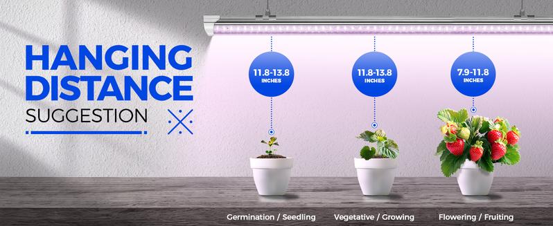 Barrina T8 LED Grow Lights, Full Spectrum, 180W(6 x 30W, 1000W Equivalent), 3ft Grow Light Strips, Linkable Design, Pinkish White, 6 Packs Barrina T8 LED Grow Lights, Full Spectrum, 180W(6 x 30W, 1000W Equivalent), 3ft Grow Light Strips, Linkable Design, Pinkish White, 6 Packs