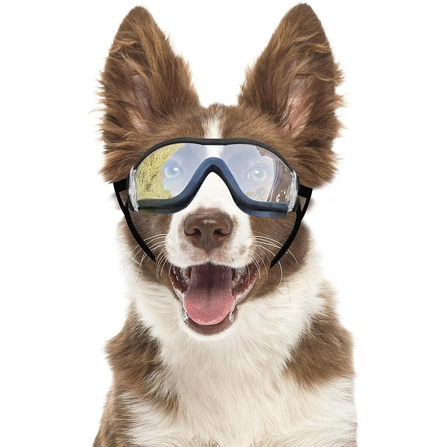 Dog Goggles Anti-UV Windproof Dog Sunglasses Eye Protection for Medium Large Dogs with Adjustable Straps/Clear Lense