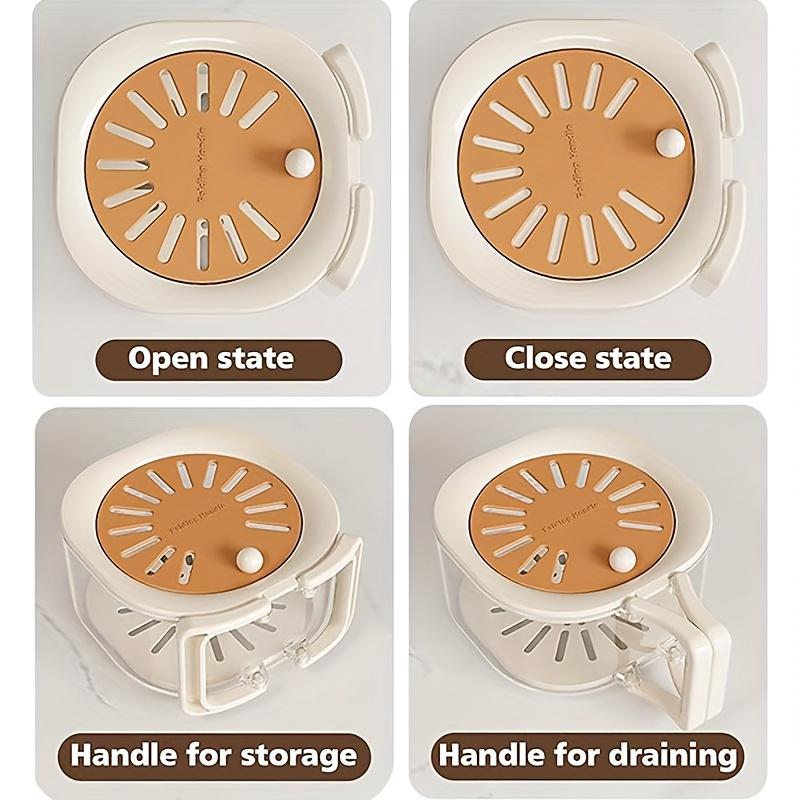 Double-Layer Drain Basket, Foldable Handle Fruit Drainer, Multi-Functional Food Filter, Refrigerator Storage Basket, Kitchen Camping Picnic