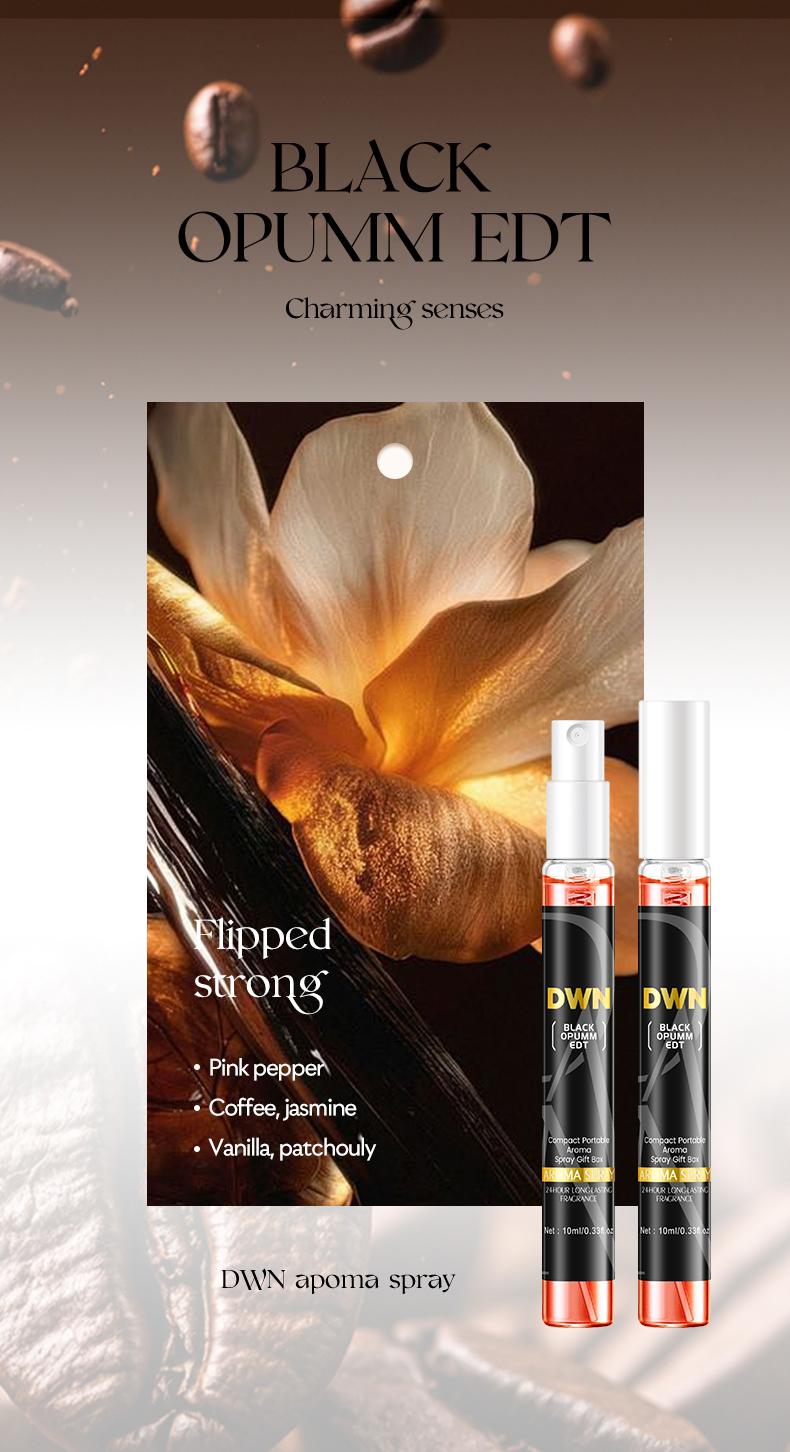 High-End Secret Perfume Set 10 X 10ML, Luxury Fragrances, Perfect Gift for Perfume Lovers, Perfume Sampler Set for Beginners