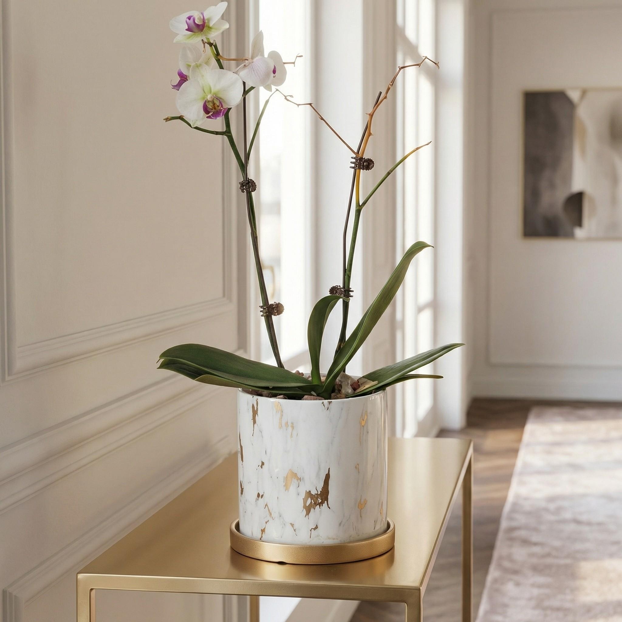 Butterfly Orchid Ceramic Small Flower Pot, Luxury High-End Marble Pattern Home Large Vase, Elegant Decorative Planter