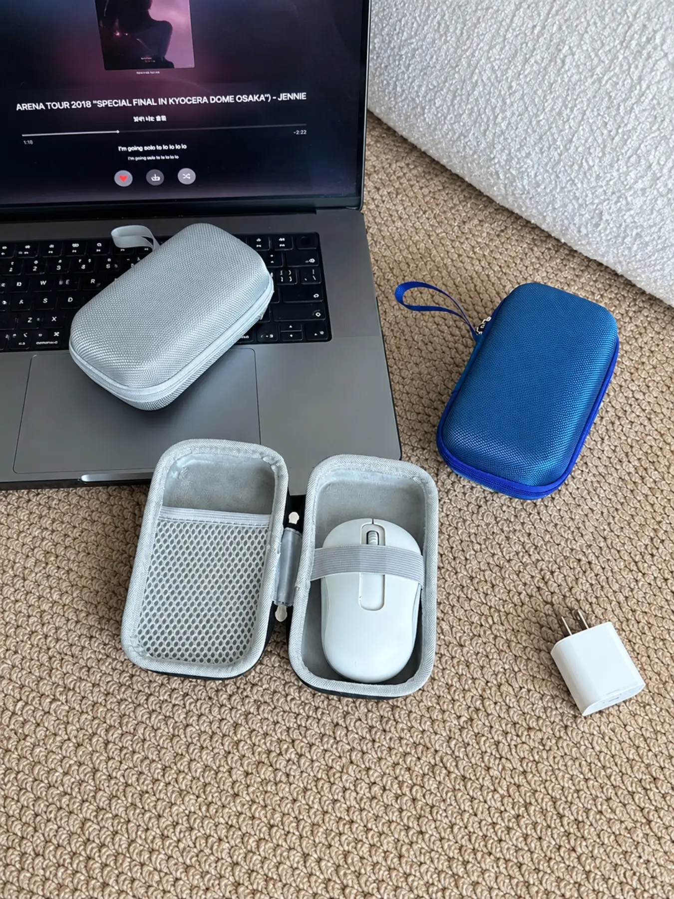 Eva Hard Gaming Mouse Carrying Case Organiser, Shockproof Anti-Scratch Pouch, Compatible with Gpw, G304, G903, Dragonfly F1, Travel-Friendly Bag