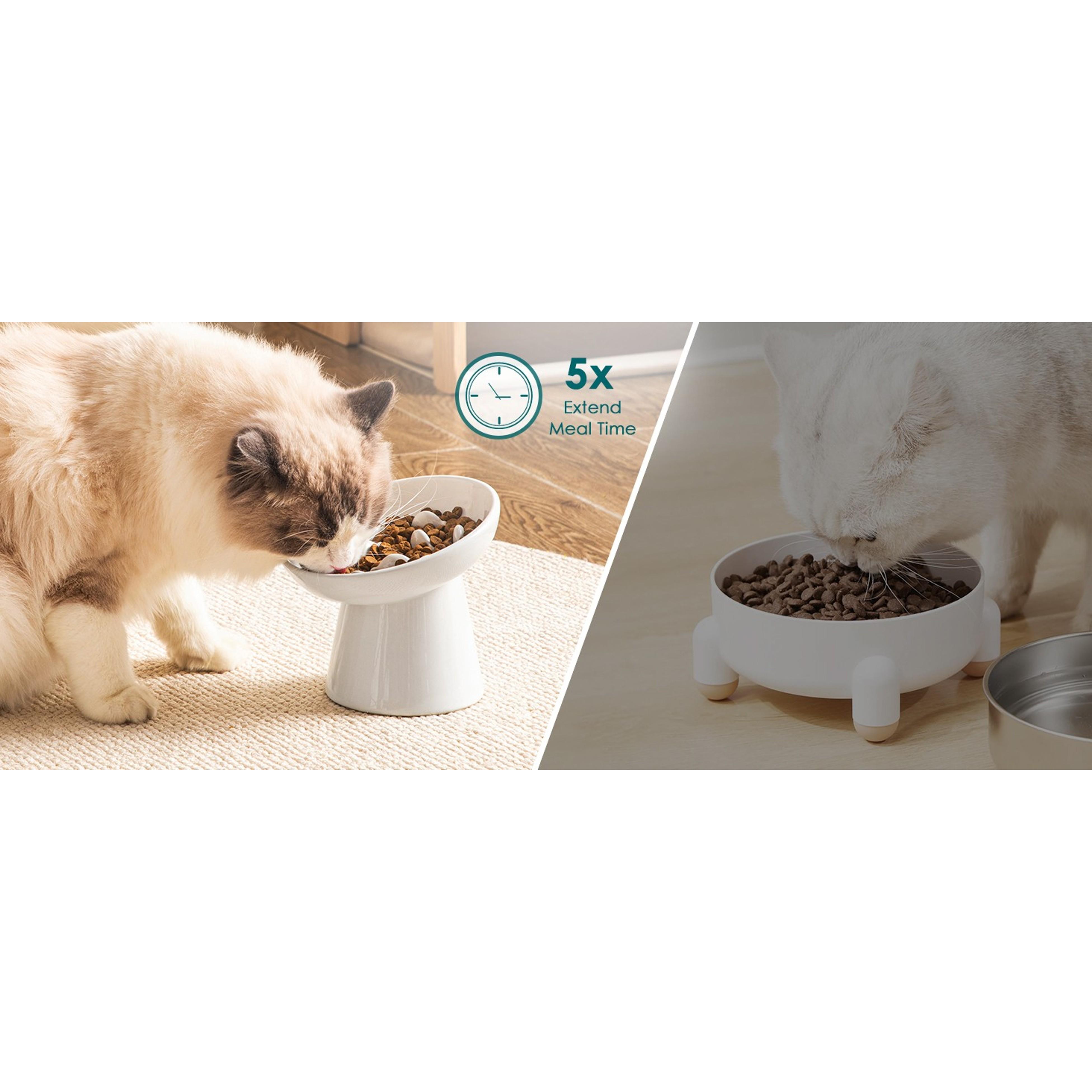 Elevated Ceramic Slow Feeder Cat Bowl, 6.25in Anti-Vomiting Bowl for Dry & Wet Cat Food, White, Elevated Bowl Elevated Ceramic Slow Feeder Cat Bowl, 6.25in Anti-Vomiting Bowl for Dry & Wet Cat Food, White, Elevated Bowl