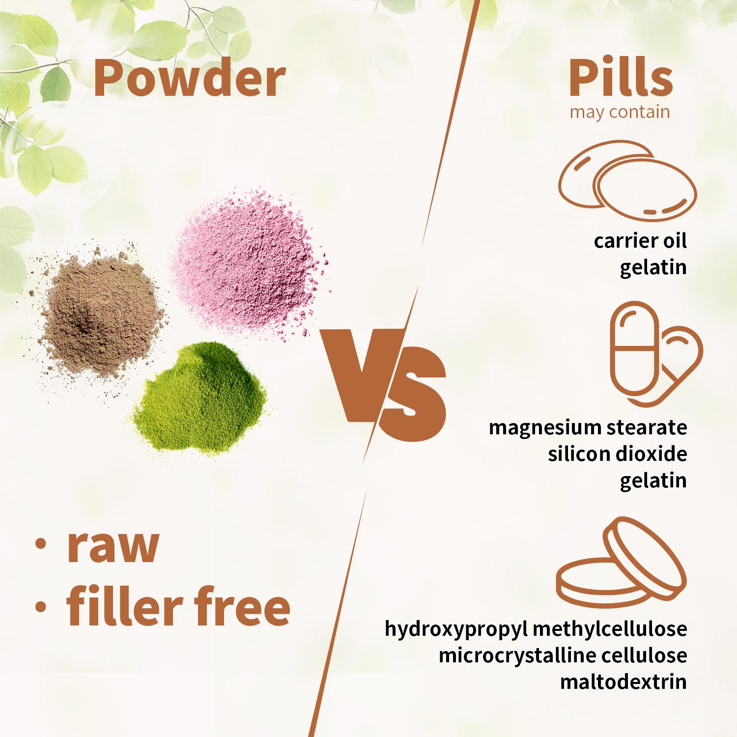 Hi Plus Organic Lion Head Mushroom Supplement Capsules | Natural Superfood to Support Brain Function, Energy and Immune Health | Non-GMO, Vegan, No Additives | 90 Veggie Capsules