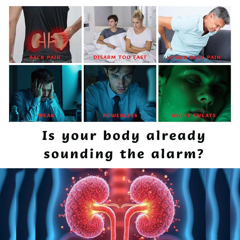 Kidney Tea with Ginseng and Six Treasures Tea, Health-Beneficial Longan and Goji Berry Tea, Red Dates and Black Mulberry Tea, Organic Kidney Purification Herbal Tea (Suitable for Both Men and Women to Drink)