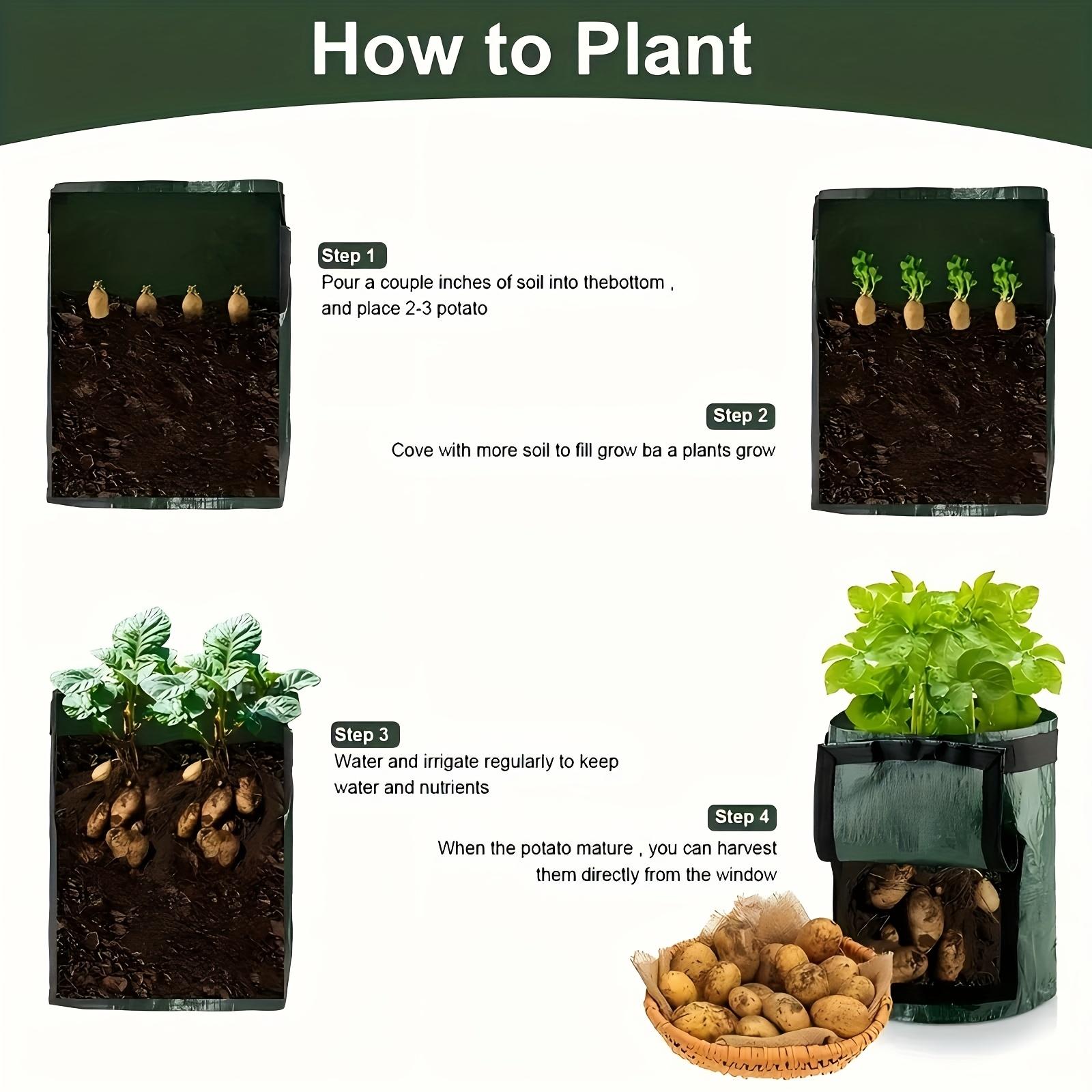 2Pcs Potato Planting Bag with Observation Hole, Potato Plant Bags, PE Material, Indoor and Outdoor Planting Bag, Reusable, for Potatoes, Tomatoes, Vegetables, Green, 7 gallons/10 gallons