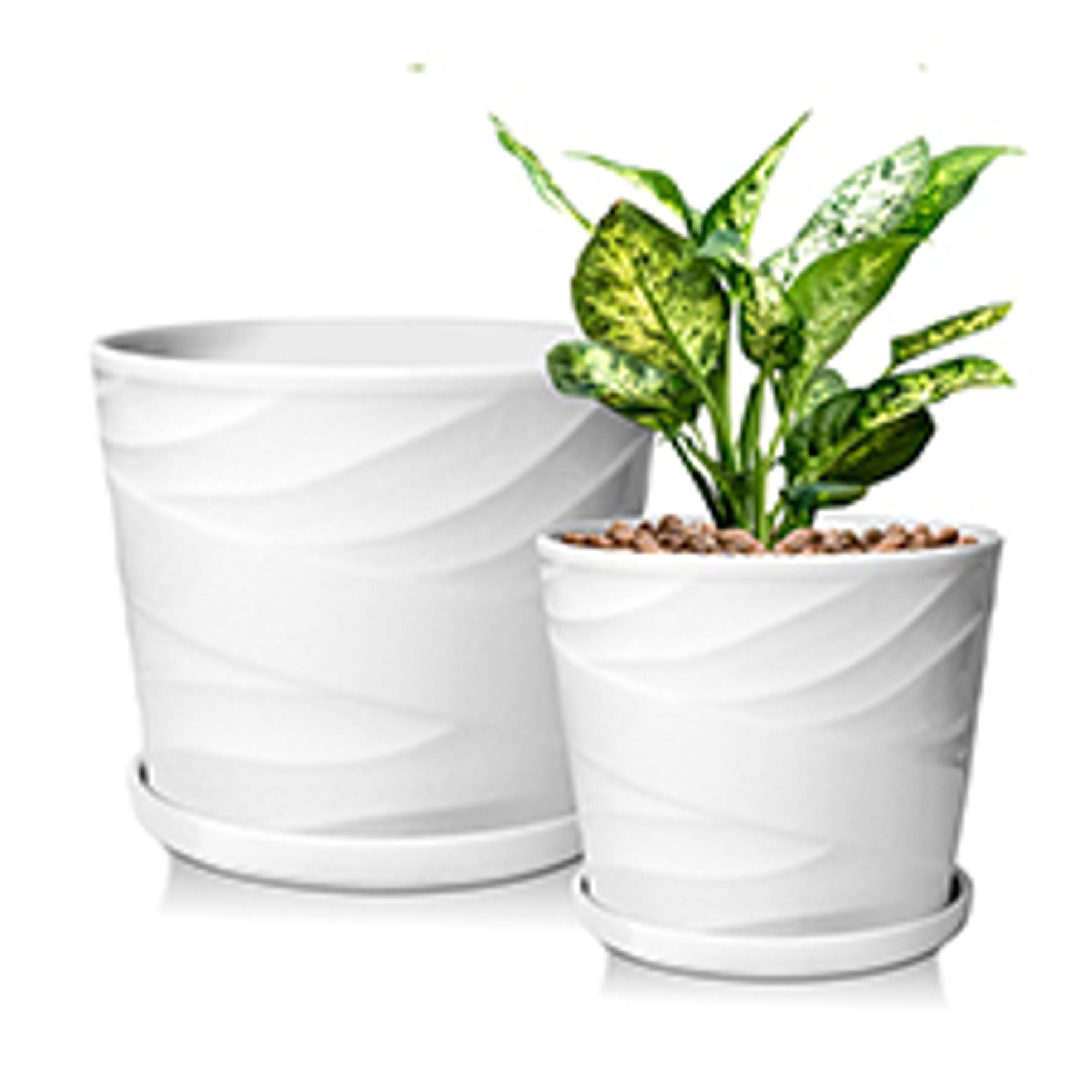 8 Inch Plant Pot,Ceramic Planter with Drainage and Saucer,Ceramic Pots for Plants,Indoor Plant pots,Ceramic Flower pots(Pure White)