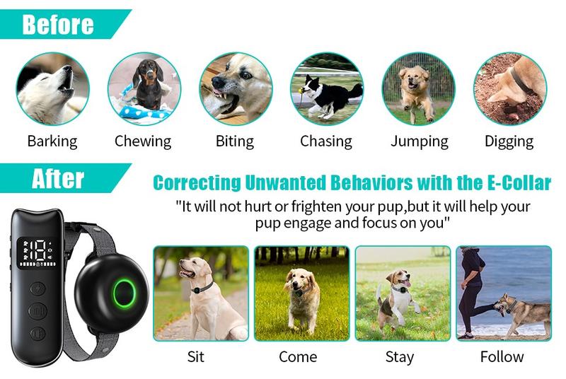 Dog Training Collar - Dog Bark Deterrent Device Stops Bad Behavior - No need yell or swat, Just point to a dog, Hit the button - Long-range ultrasonic