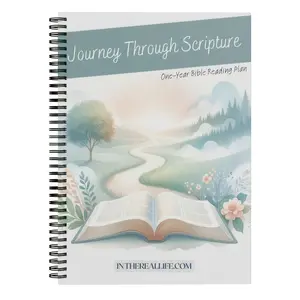 Journey Through Scripture - 113-Page One-Year Bible Reading Plan for Adults & Beginners, Daily Scripture Schedule, Reflection Space & Faith-Growth Guidance