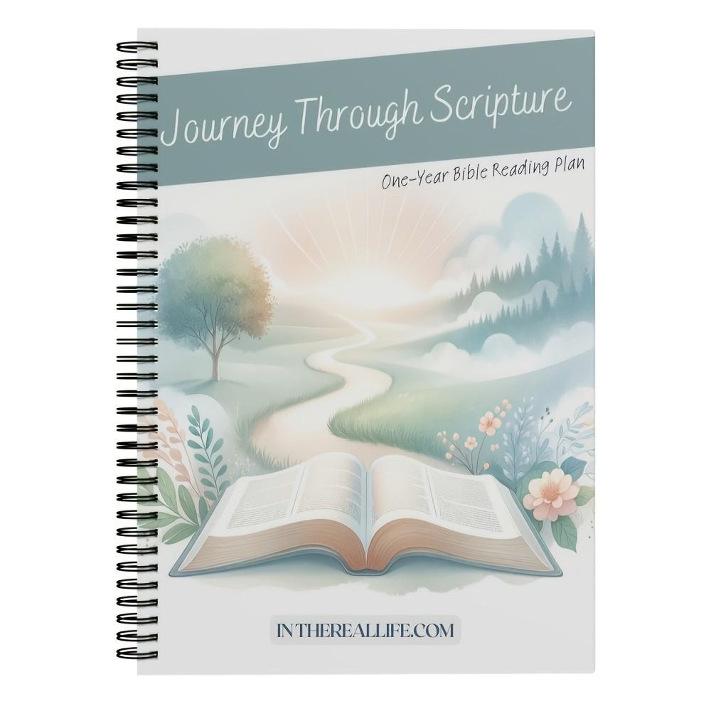 Journey Through Scripture - 113-Page One-Year Bible Reading Plan for Adults & Beginners, Daily Scripture Schedule, Reflection Space & Faith-Growth Guidance