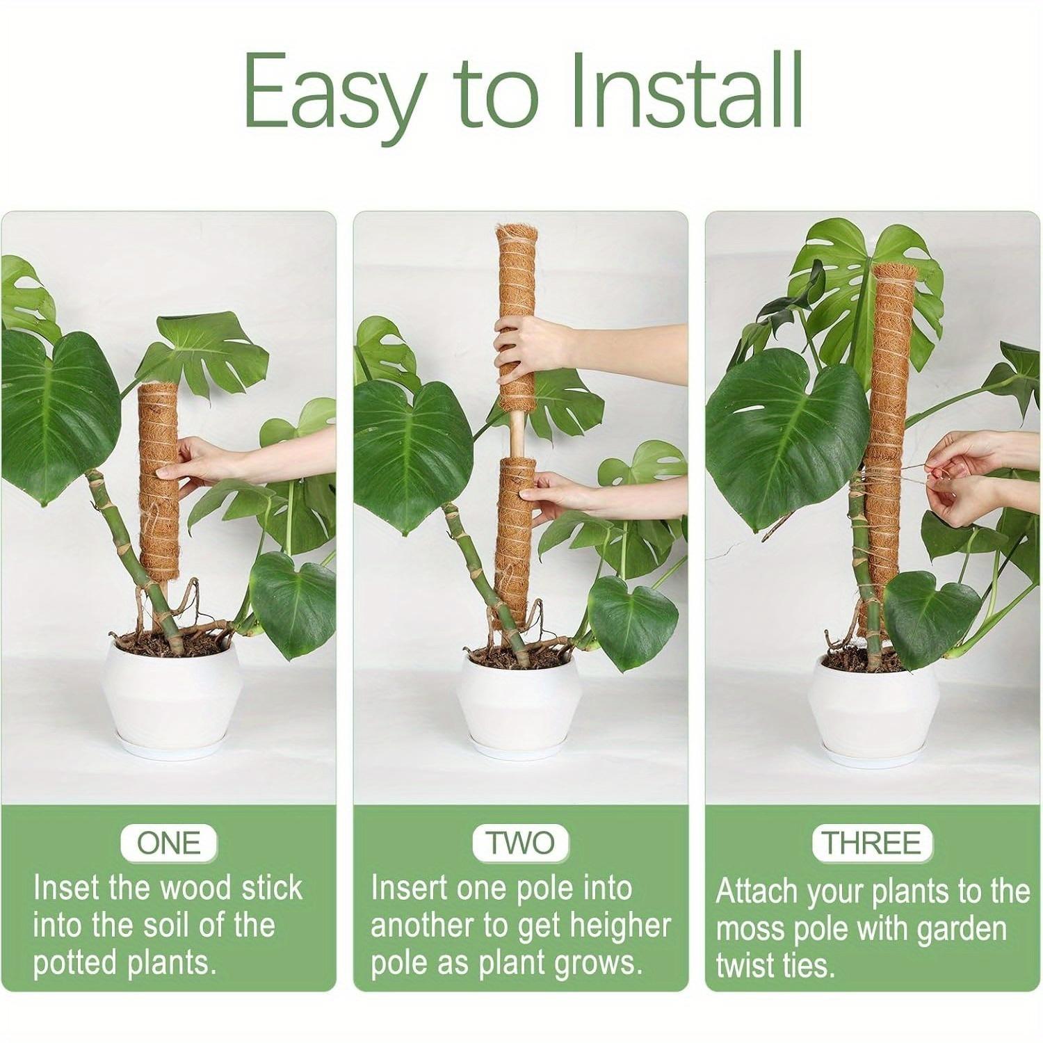 2-Piece Set 15.7-Inch Stackable Moss Sticks, Ideal for Climbing Plants, Indoor Rock Climbing Plant Support, Coconut Shell Plant Pole, Garden Trellis