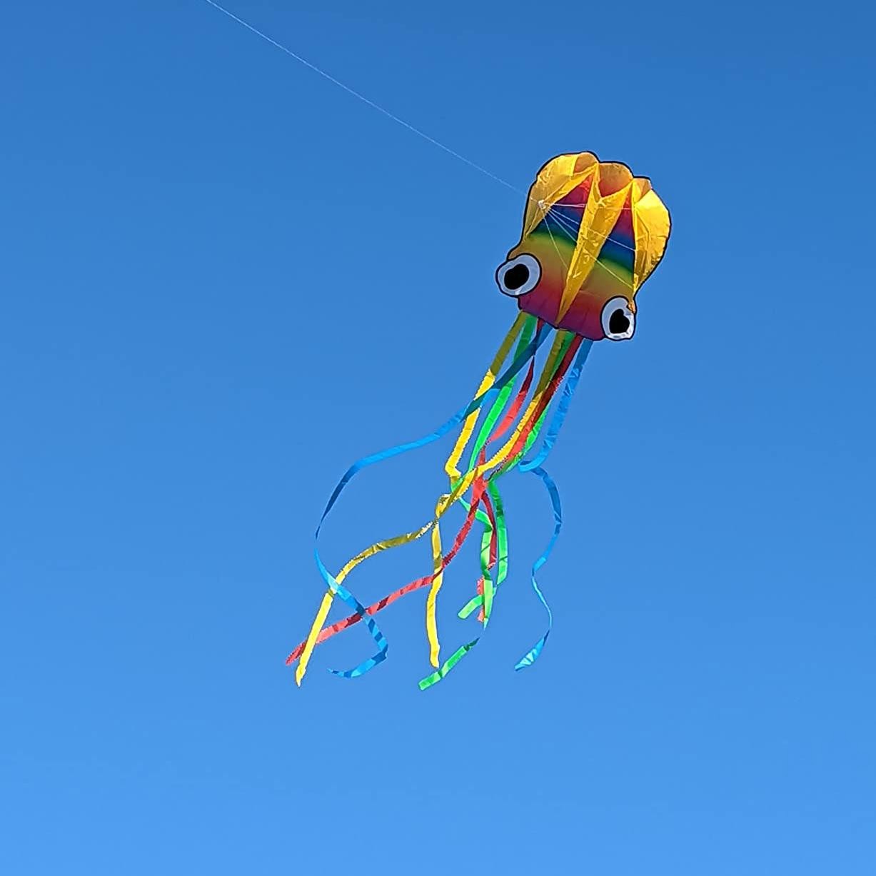 Huge Rainbow Soft Octopus Kite for Adults, Large Kite with Long Tail 100m Line and Handle, Great Gift for Boys Girls, Beach Trip Outdoor Game