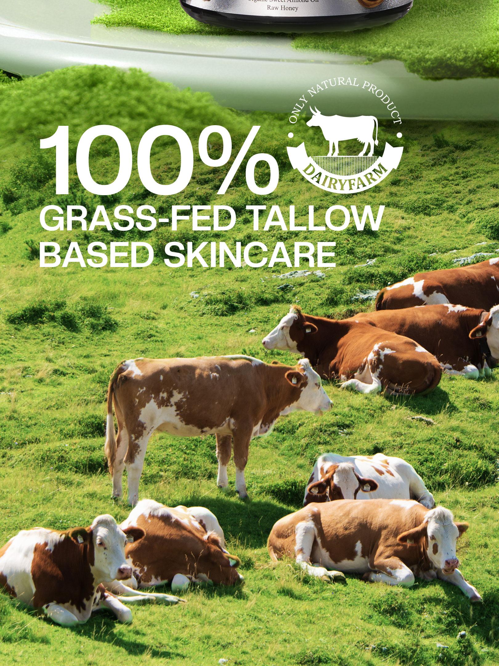 【Highly Recommended】Organic Grass-Fed Tallow & Raw Honey Balm — Intensely Nourishing Cream for Soft, Glowing Skin — Handcrafted with Care 【Highly Recommended】Organic Grass-Fed Tallow & Raw Honey Balm — Intensely Nourishing Cream for Soft, Glowing Skin — Handcrafted with Care