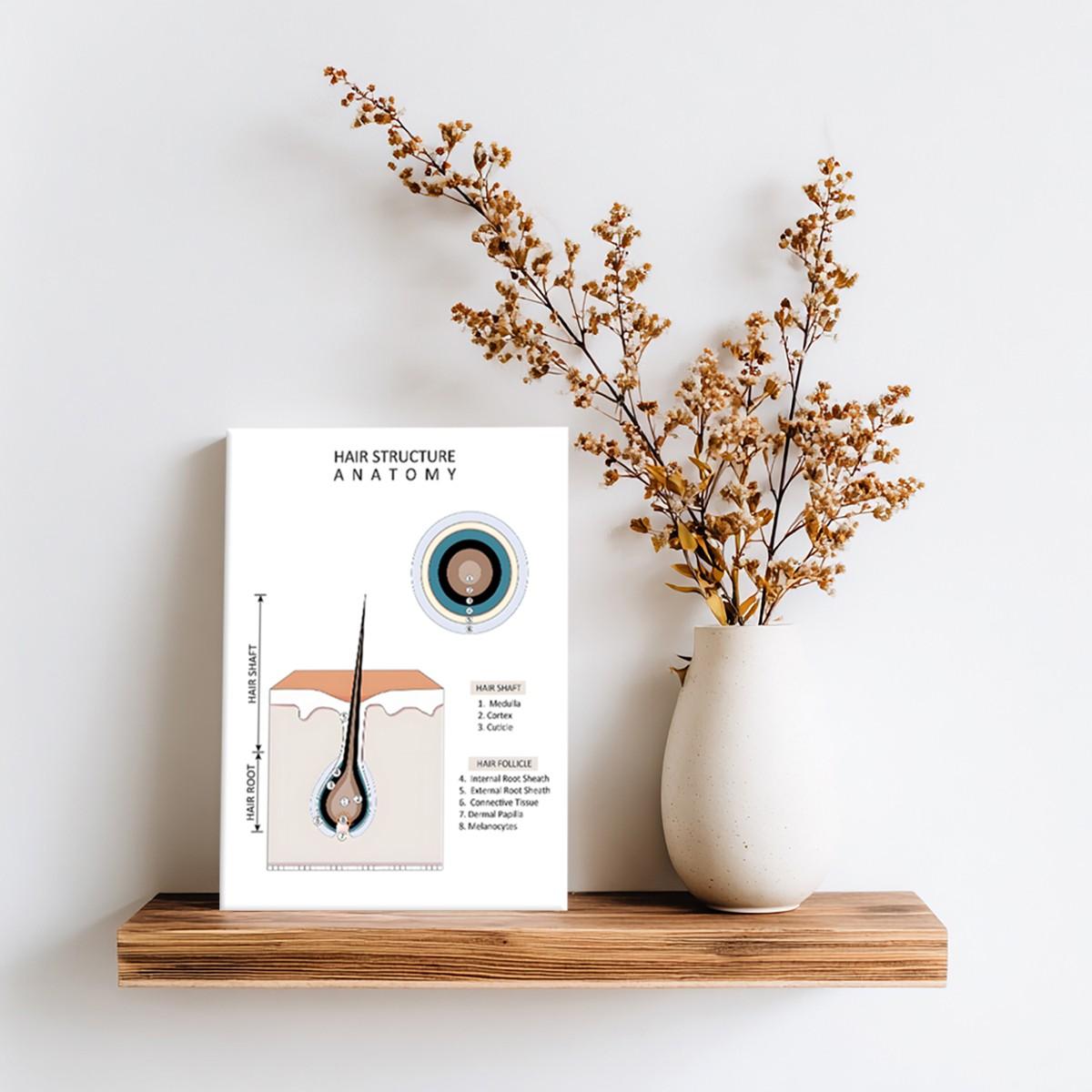 Hair type guide canvas art, wooden framed wall decoration, featuring hair growth cycle charts, damaged hair condition charts, hair anatomy diagrams, and curly hair charts, suitable for hair salon decoration.