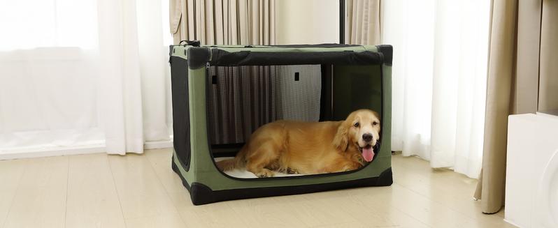 Collapsible Travel Dog Crate for Medium Large Dogs, Portable Oxford Cloth Dog Crate 4-Door Foldable Soft Kennel with Chew-Proof Mesh Windows for Indoor & Outdoor Travel,with Storage Bag,Green