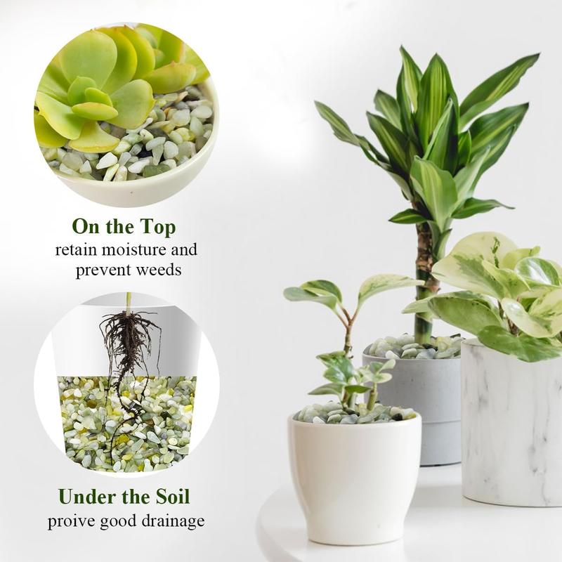 2 lbs Pea Gravel - 3/8 Inch Small Pebbles Rocks for Indoor Plants, Succulents, Cactus, Fish Tank, Terrarium, Landscaping and Decorative Stones(32 oz, 6-9 mm)