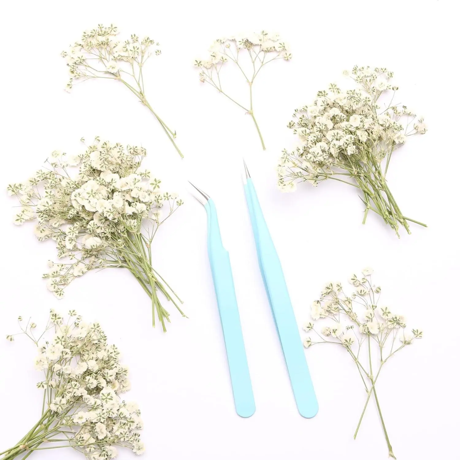 White 70 Pcs Natural Baby's Breath Dried Pressed Flowers ,Real Dried Flowers for Crafts .Gypsophila Scrapbooking Used for Making Invitations Card/Jewelry /Soap /Candle
