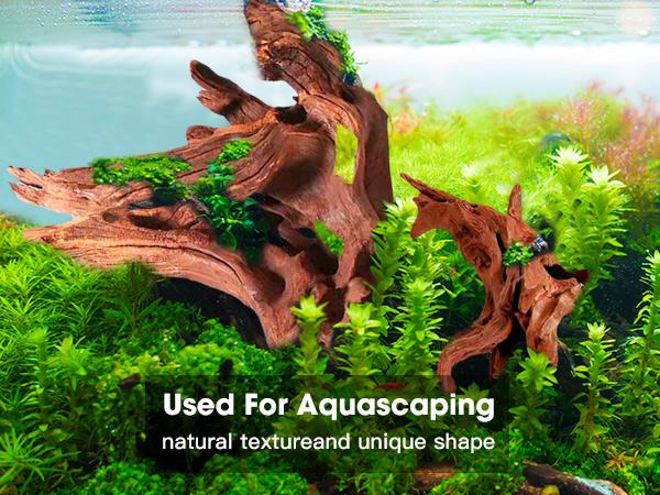 Large Coral Driftwood for Aquarium Decor Fish Tank Decorations Reptile Decor, Assorted Driftwood Branch 13 to 17 Inch Pack of 1