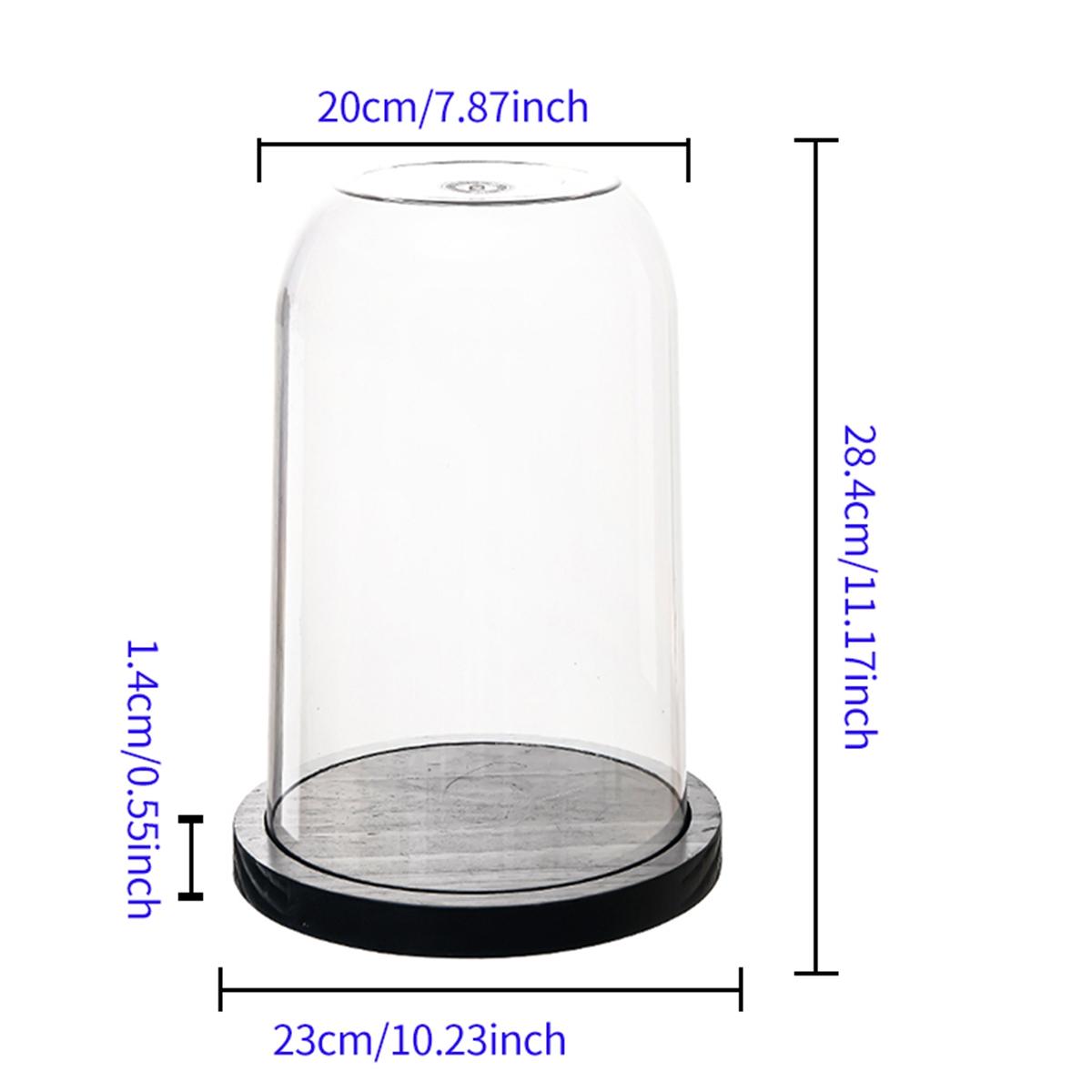 Transparent Doll Display Box, Collectible Box, Dustproof Collection Showcase, Ideal for Eternal Flower, Wooden Base, Valentine's Day Gift