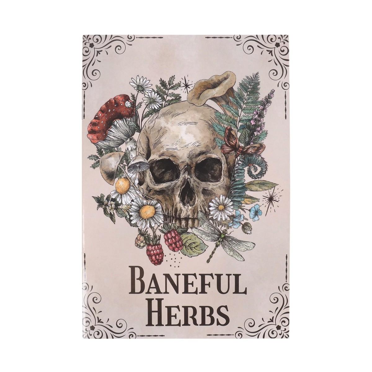 Gothic Skull and Plant Art Planner, Dark Romantic Floral Illustration Journal, Creative Notebook and Stationery Collection