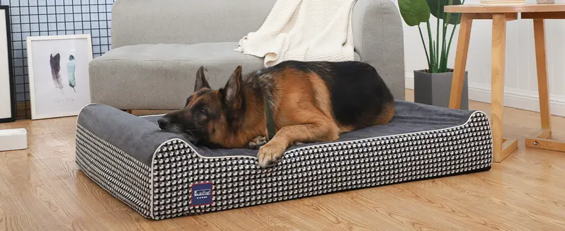 Product Introduction of Laifug Orthopedic Memory Foam Extra Large Dog Bed with double Pillow (50"x36"x10") Durable Water Proof Liner & Removable Washable Cover & Smart Design 24