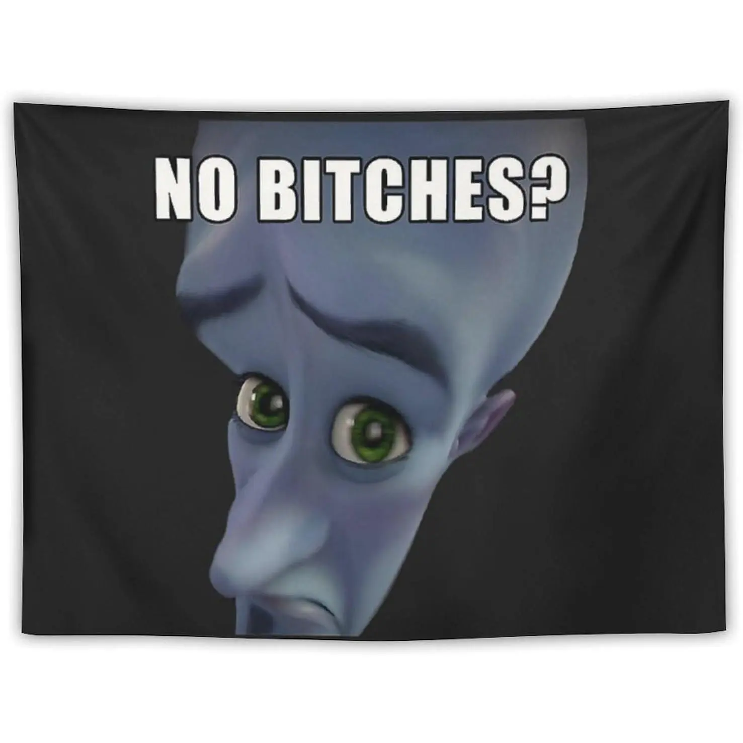 Megamind Characters Funny Meme Print Fabric Tapestry Wall Mural - 30in x 40in 1-Piece Adult Home Decor Supplies, Indoor Hanging Gift for College Dorm & Bedroom, Decoration Items