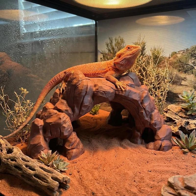 Double Scene Universal 3D Printed Desert Cave, Reptile Lizard Safe Hideaway, Aquatic Tank Decor, Sandstone Texture, Top Plant Design