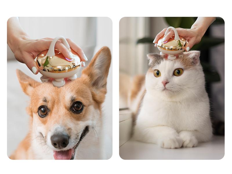 COMFIER Cordless Scalp Massager Hair Growth with 3 kneading Modes,Waterproof Head Massager with 8 Claws for Deep Cleansing,Head Scratcher,Body Massager for Stress Relief, Cat Massager COMFIER Cordless Scalp Massager Hair Growth with 3 kneading Modes,Waterproof Head Massager with 8 Claws for Deep Cleansing,Head Scratcher,Body Massager for Stress Relief, Cat Massager