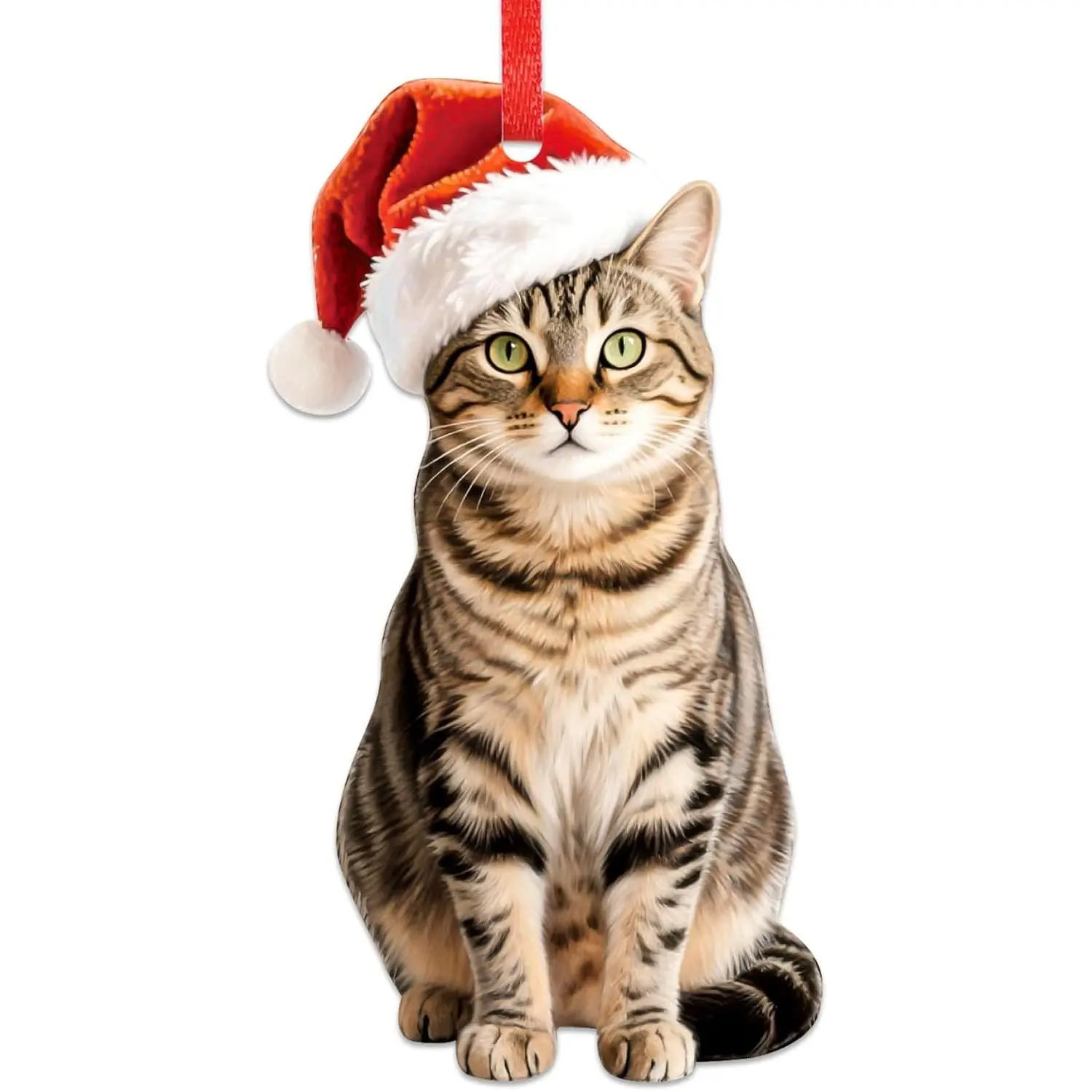 Tabby  Christmas Ornament - 2D Realistic Cats Ornaments for Christmas Tree -  Lifelike Kitten Ornament Decor, Gifts for  Lovers Women & Men  Memorial