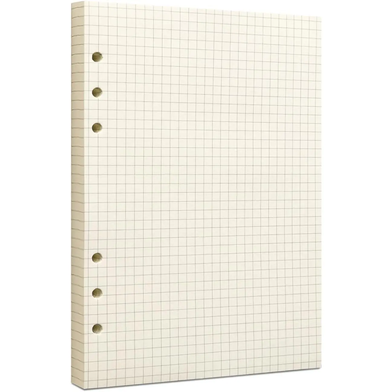 A5 Grid Filler Paper, 6-Hole Punched, 100GSM Graph Rule Paper