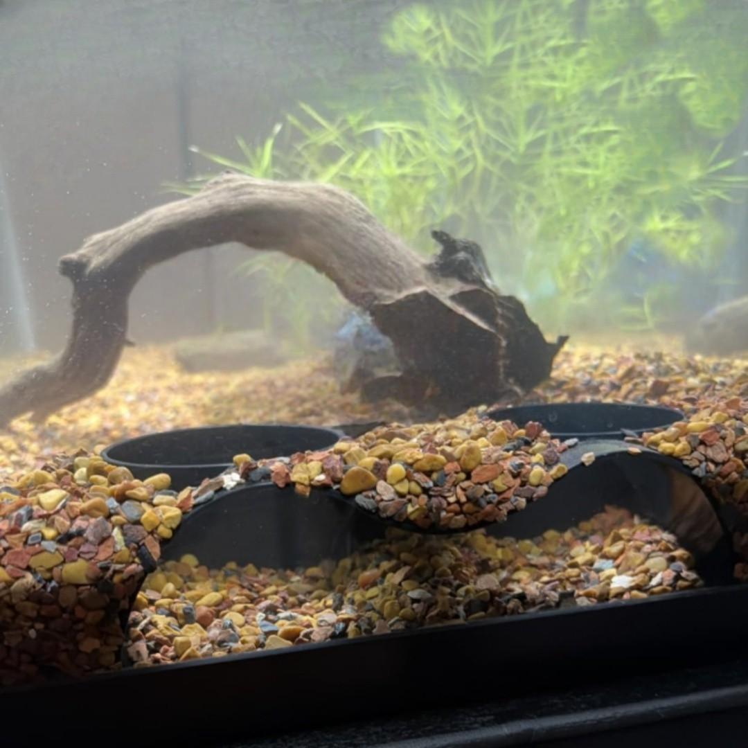 Bionic Aquarium Cave System, Dual Entrance Curved Tunnel Group, Non-Toxic Resin Hideout for Small Fish Shrimp, Modular Eco-Friendly Decor Trunk