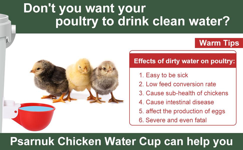 Chicken Waterer Cups (8 Pack/Red) - DIY Automatic Large Chicken Water Feeder for Ducks,Chicks, Turkeys, Quail, Bunny, Bird and Other Various Poultry Dispenser with Matching Drill