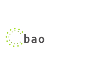 bao factory store