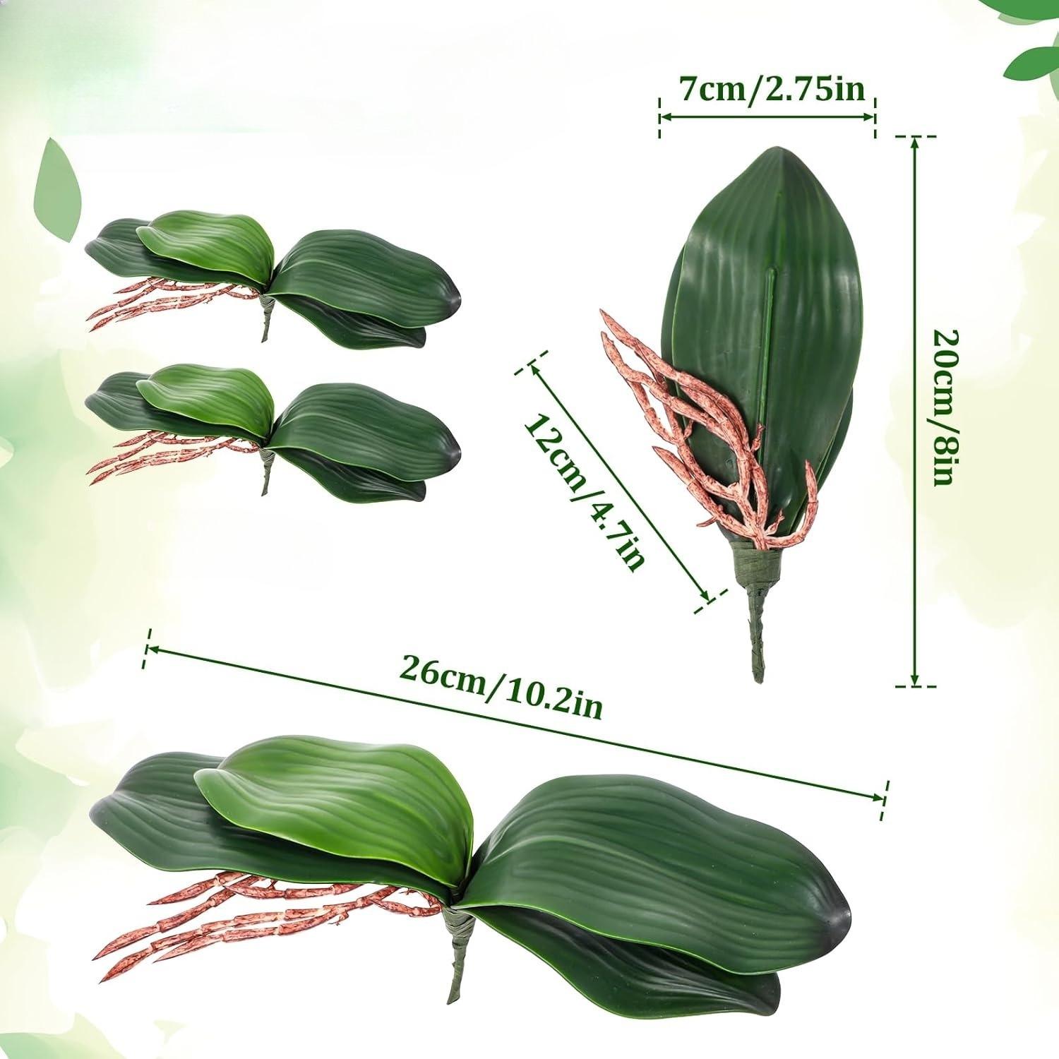 2Pack Orchid Leaves Artificial Artificial Orchid Leaves Real Touch Phalaenopsis Stems Faux Cymbidium Flower Foliage Green Artificial Orchid Bulk Lifelike Orchid Leaf Decor Faux Orchid 8 Inches