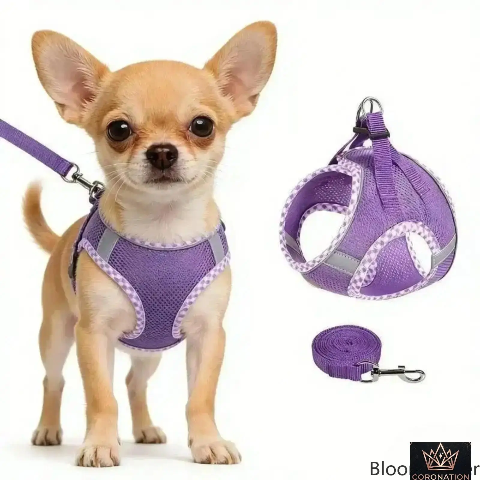 2 Pack No Pull Dog Harness & Leash Set, Adjustable Reflective Soft Mesh Vest Harness, Lightweight Walking Gear for Small Medium Large Dogs & Puppies, Ideal for Daily Walks, Training & Outdoor Use