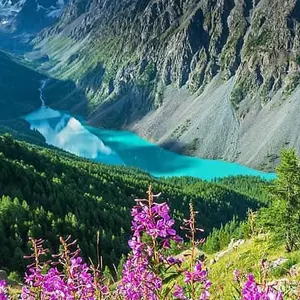 PengPengHome PengPengHome