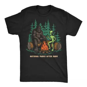 Mens Funny T Shirts National Parks After Dark Sarcastic Bigfoot Alien Graphic Novelty Tee for Men Mens Funny T Shirts Cool Vintage Fashion T-Shirt Gift Classic Menswear Sarcastic Apparel for Men Funny Camping Black -
