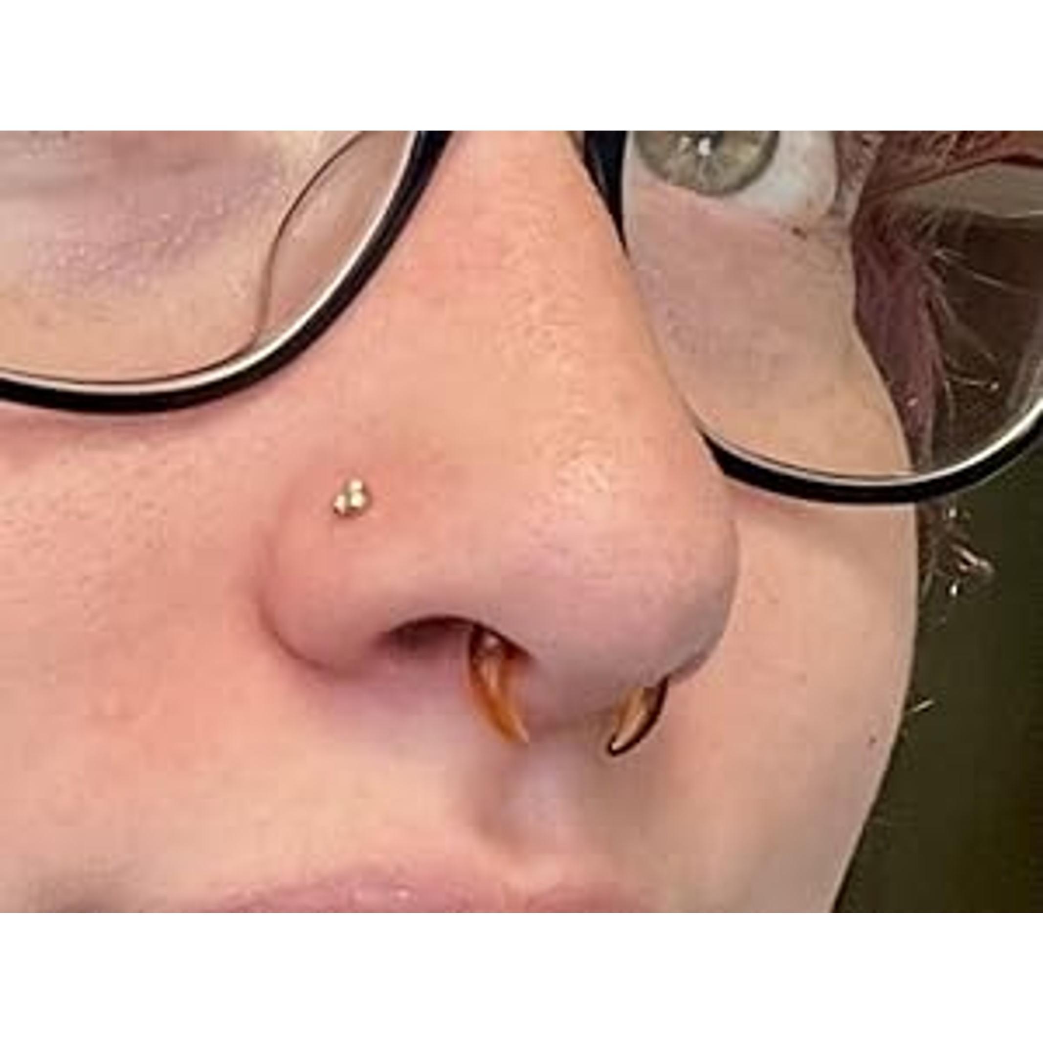 3 PCS 14G-0G Cozy Glass Septum Stretching Kits Pincher Taper with O-Rings Buffalo Septum Retainers Hypoallergenic Fresh Stretch Body Piercing Retainers Ear Hangers