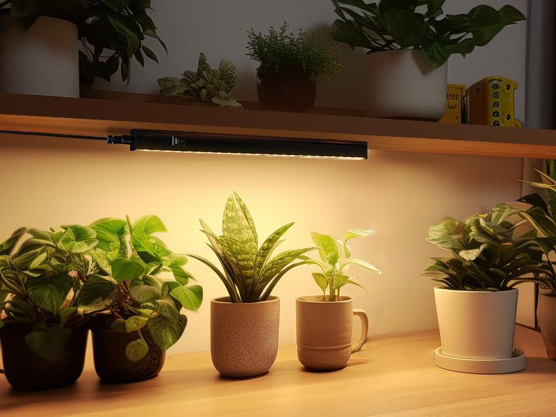 Barrina T5 Grow Lights,  Full Spectrum, 1FT, Black Cover LED PlantLight Bulbs for Indoor Plants, Greenhouse, Plug and Play, Linkable, Yellow, 8 Packs