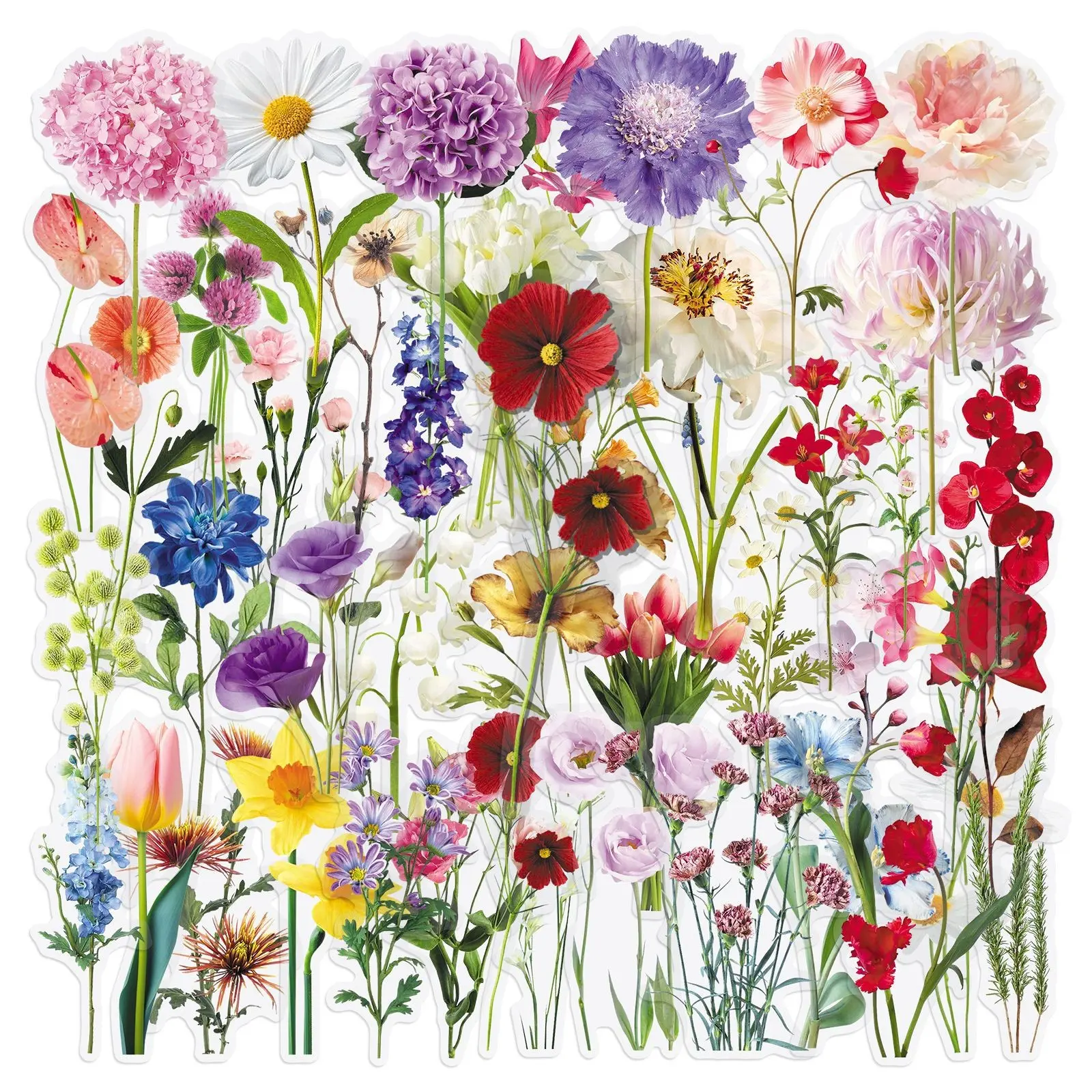 50Pcs Transparent Realistic Floral PET Stickers, Waterproof DIY Decorative Stickers for Water Bottles and Journals, Colorful Fresh Design