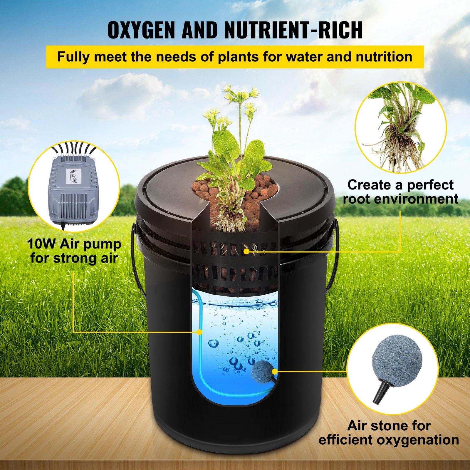 DWC Hydroponic System, 5 Gallon 5 Buckets, Deep Water Culture Growing Bucket, Hydroponics Grow Kit with Pump, Air Stone and Connected Reservoir, for Indoor/Outdoor Leafy Vegetables