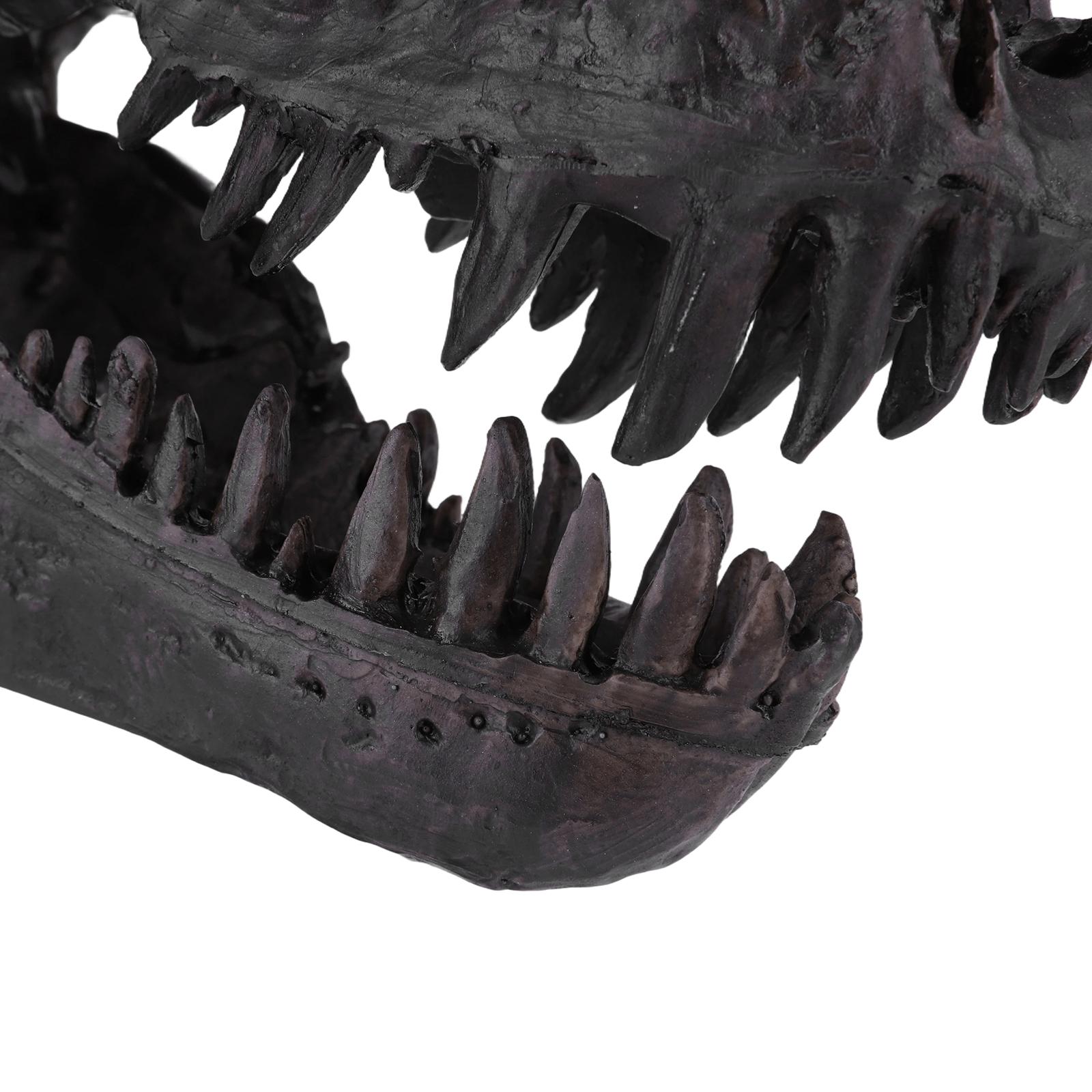 Dinosaur Skull Statue,Dinosaur Sculptures Bracket Tyrannosaurus Skull Replica Decoration Skull Bones Resin Replica with Bracket for Home Office Decor Shelf Display